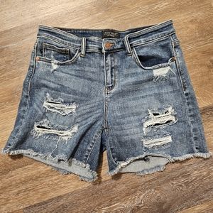 Judy Blue shorts